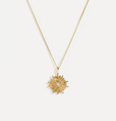 Mauris cosmopolis lacos dametos