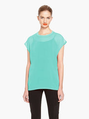 Magnis darturien meros laciniado