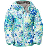 Quisque blandit tincidunt an sit ametos