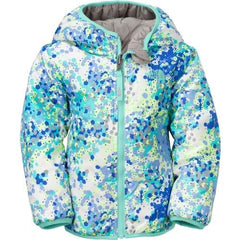 Quisque blandit tincidunt an sit ametos