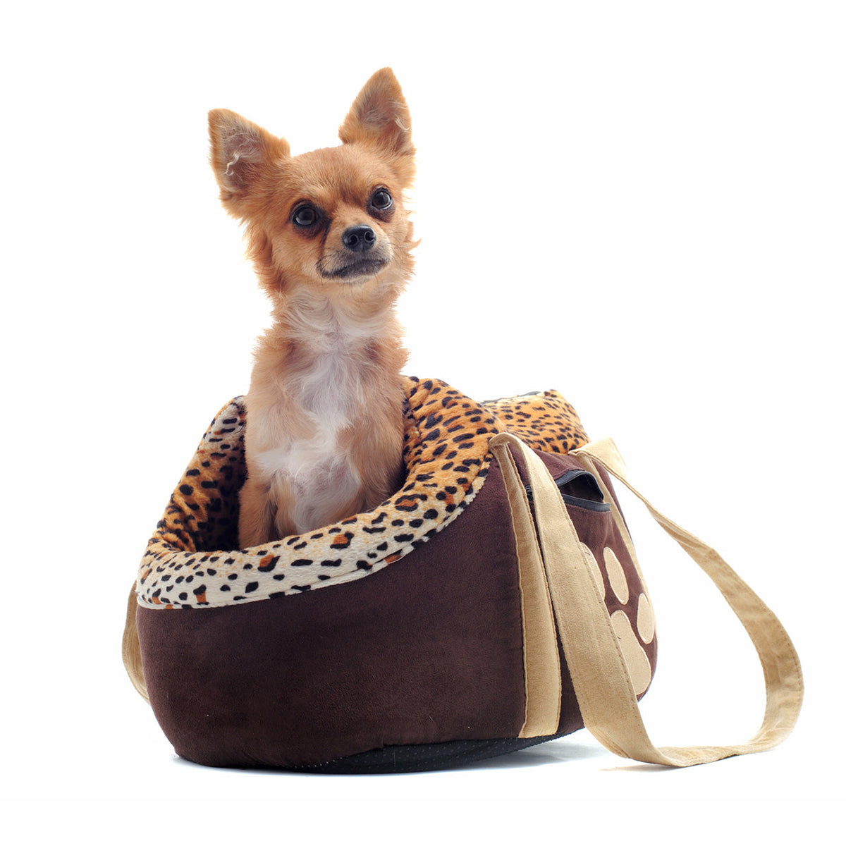 (Product 7) Sample - Pet Accessories For Sale